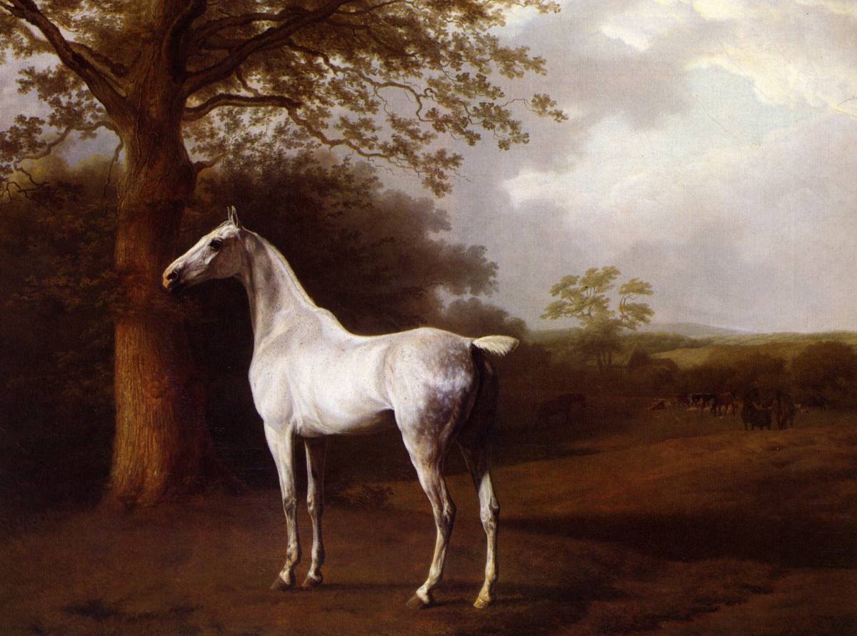 Art mural chevaux sauvages, décoraton équestre, dée cadeau cavaler
