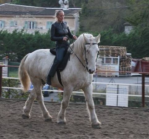Apprentissage du trot en équilibre : Quilt a la nuque haute et arrive à libérer le poids de ses épaules pour se porter seul.